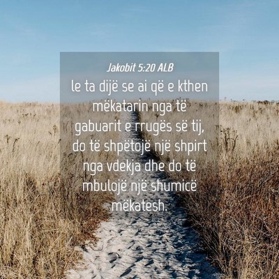 Picture 04 - Jakobit 5:20 ALB - le ta dijë se ai që e kthen mëkatarin nga të - Bible Verse Picture