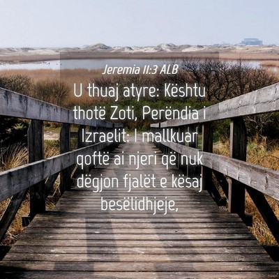 Picture 04 - Jeremia 11:3 ALB - U thuaj atyre: Kështu thotë Zoti, Perëndia i - Bible Verse Picture