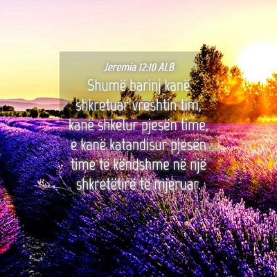 Picture 04 - Jeremia 12:10 ALB - Shumë barinj kanë shkretuar vreshtin tim, kanë - Bible Verse Picture