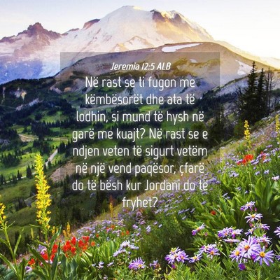 Picture 04 - Jeremia 12:5 ALB - Në rast se ti fugon me këmbësorët dhe ata të - Bible Verse Picture
