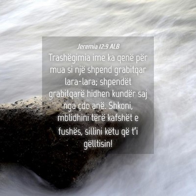 Picture 04 - Jeremia 12:9 ALB - Trashëgimia ime ka qenë për mua si një shpend - Bible Verse Picture