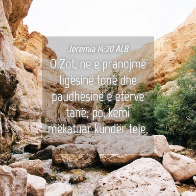 Picture 04 - Jeremia 14:20 ALB - O Zot, ne e pranojmë ligësinë tonë dhe - Bible Verse Picture