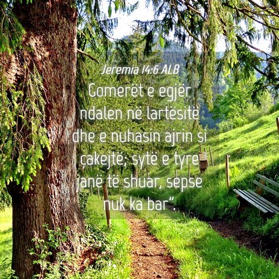 Picture 04 - Jeremia 14:6 ALB - Gomerët e egjër ndalen në lartësitë dhe e - Bible Verse Picture