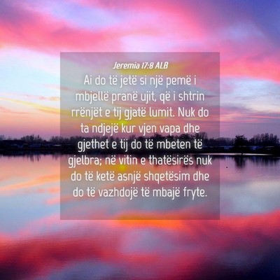 Picture 04 - Jeremia 17:8 ALB - Ai do të jetë si një pemë i mbjellë pranë - Bible Verse Picture