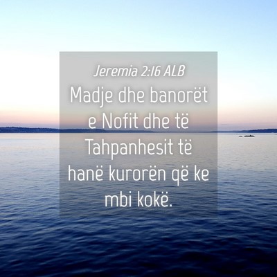 Picture 04 - Jeremia 2:16 ALB - Madje dhe banorët e Nofit dhe të Tahpanhesit - Bible Verse Picture