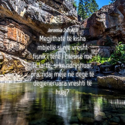 Picture 04 - Jeremia 2:21 ALB - Megjithatë të kisha mbjellë si një vresht - Bible Verse Picture