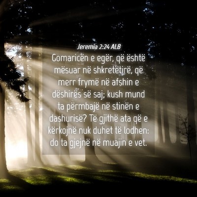 Picture 04 - Jeremia 2:24 ALB - Gomaricën e egër, që është mësuar në - Bible Verse Picture