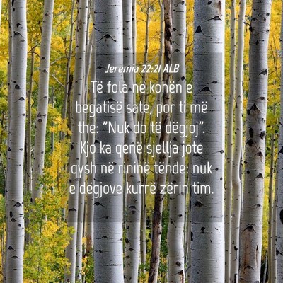 Picture 04 - Jeremia 22:21 ALB - Të fola në kohën e begatisë sate, por ti më - Bible Verse Picture