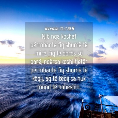 Picture 04 - Jeremia 24:2 ALB - Një nga koshat përmbante fiq shumë të mirë, - Bible Verse Picture