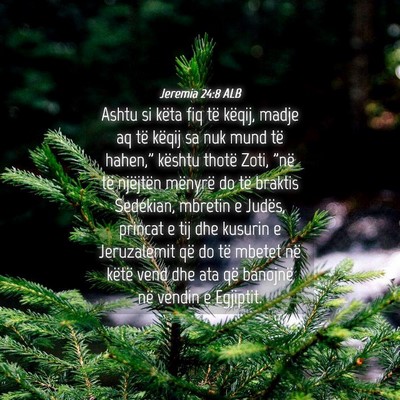 Picture 04 - Jeremia 24:8 ALB - Ashtu si këta fiq të këqij, madje aq të - Bible Verse Picture