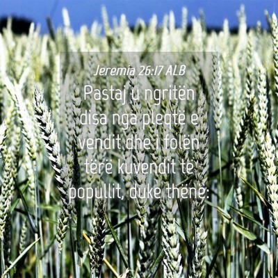 Picture 04 - Jeremia 26:17 ALB - Pastaj u ngritën disa nga pleqtë e vendit dhe i - Bible Verse Picture