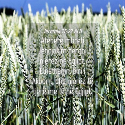 Picture 04 - Jeremia 26:22 ALB - Atëherë mbreti Jehojakim dërgoi njerëz në - Bible Verse Picture