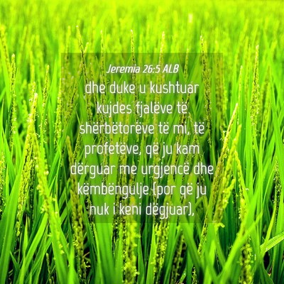 Picture 04 - Jeremia 26:5 ALB - dhe duke u kushtuar kujdes fjalëve të - Bible Verse Picture