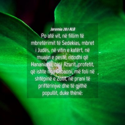 Picture 04 - Jeremia 28:1 ALB - Po atë vit, në fillim të mbretërimit të - Bible Verse Picture
