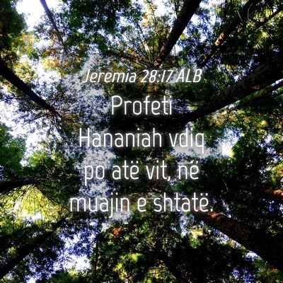 Picture 04 - Jeremia 28:17 ALB - Profeti Hananiah vdiq po atë vit, në muajin e - Bible Verse Picture