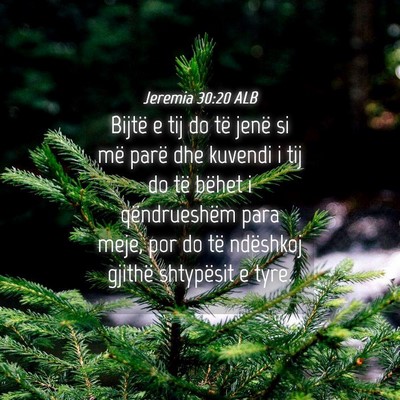 Picture 04 - Jeremia 30:20 ALB - Bijtë e tij do të jenë si më parë dhe - Bible Verse Picture