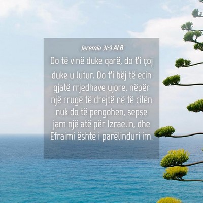 Picture 04 - Jeremia 31:9 ALB - Do të vinë duke qarë, do t’i çoj duke u - Bible Verse Picture