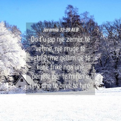 Picture 04 - Jeremia 32:39 ALB - Do t’u jap një zemër të vetme, një rrugë - Bible Verse Picture