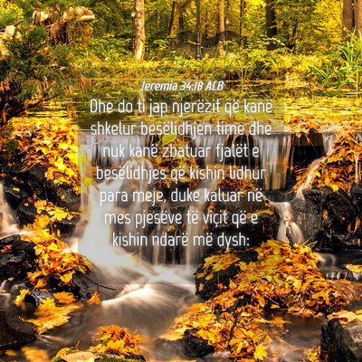 Picture 04 - Jeremia 34:18 ALB - Dhe do ti jap njerëzit që kanë shkelur - Bible Verse Picture