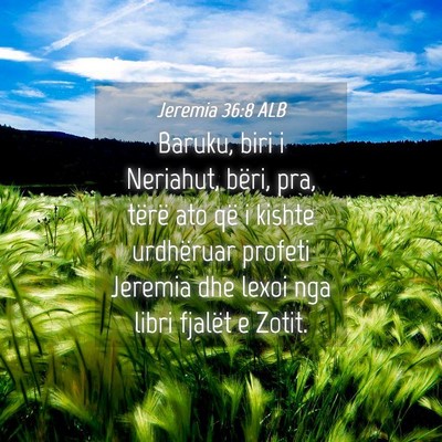 Picture 04 - Jeremia 36:8 ALB - Baruku, biri i Neriahut, bëri, pra, tërë ato - Bible Verse Picture