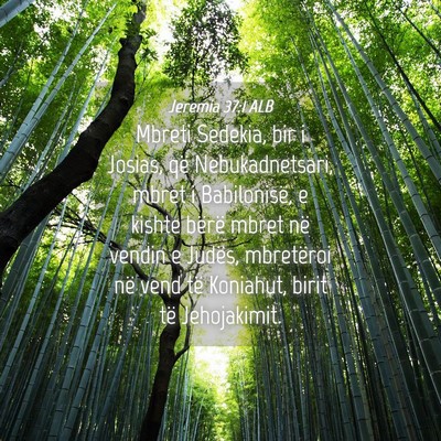 Picture 04 - Jeremia 37:1 ALB - Mbreti Sedekia, bir i Josias, që Nebukadnetsari, - Bible Verse Picture
