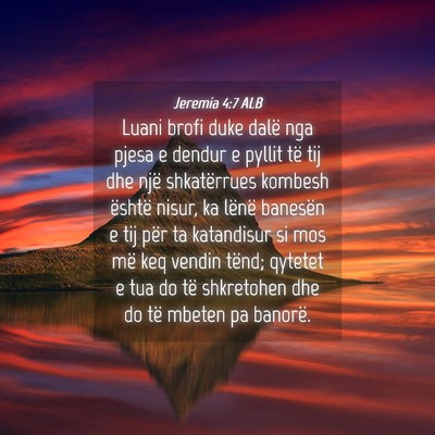 Picture 04 - Jeremia 4:7 ALB - Luani brofi duke dalë nga pjesa e dendur e - Bible Verse Picture