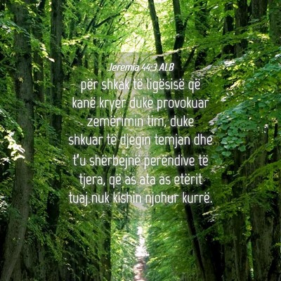 Picture 04 - Jeremia 44:3 ALB - për shkak të ligësisë që kanë kryer duke - Bible Verse Picture