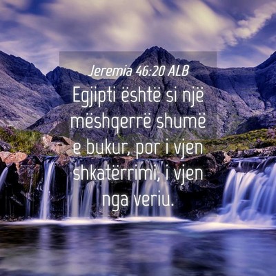 Picture 04 - Jeremia 46:20 ALB - Egjipti është si një mëshqerrë shumë e - Bible Verse Picture
