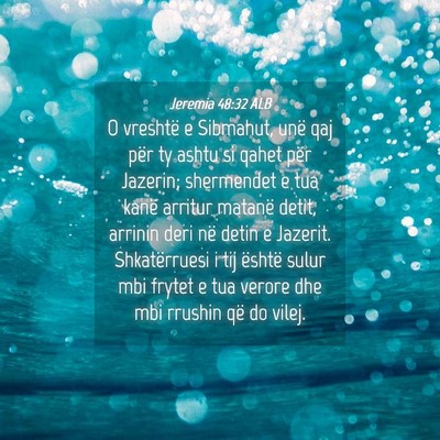 Picture 04 - Jeremia 48:32 ALB - O vreshtë e Sibmahut, unë qaj për ty ashtu si - Bible Verse Picture