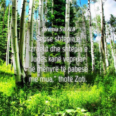 Picture 04 - Jeremia 5:11 ALB - Sepse shtëpia e Izraelit dhe shtëpia e Judës - Bible Verse Picture