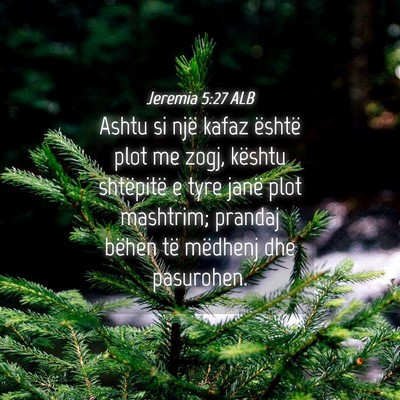 Picture 04 - Jeremia 5:27 ALB - Ashtu si një kafaz është plot me zogj, kështu - Bible Verse Picture