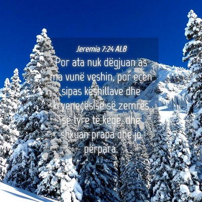 Picture 04 - Jeremia 7:24 ALB - Por ata nuk dëgjuan as ma vunë veshin, por - Bible Verse Picture