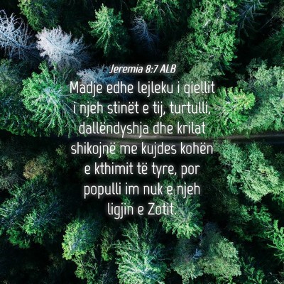 Picture 04 - Jeremia 8:7 ALB - Madje edhe lejleku i qiellit i njeh stinët e - Bible Verse Picture