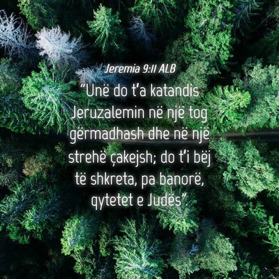 Picture 04 - Jeremia 9:11 ALB - 