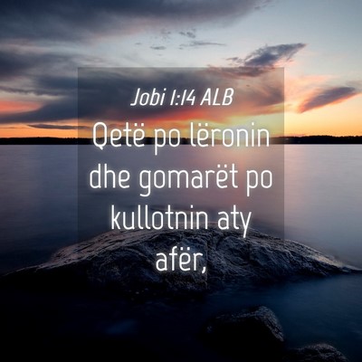 Picture 04 - Jobi 1:14 ALB - Qetë po lëronin dhe gomarët po kullotnin aty - Bible Verse Picture