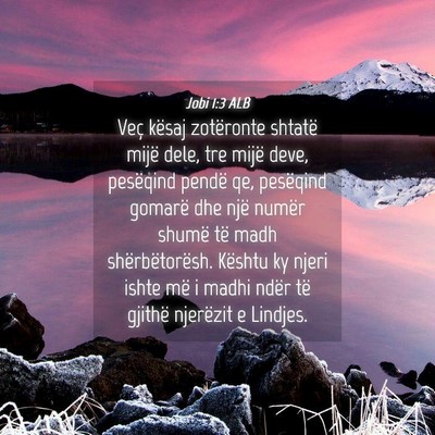 Picture 04 - Jobi 1:3 ALB - Veç kësaj zotëronte shtatë mijë dele, tre - Bible Verse Picture