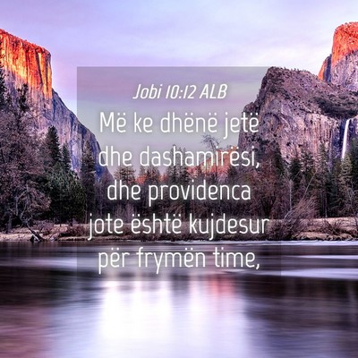 Picture 04 - Jobi 10:12 ALB - Më ke dhënë jetë dhe dashamirësi, dhe - Bible Verse Picture