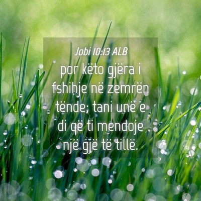 Picture 04 - Jobi 10:13 ALB - por këto gjëra i fshihje në zemrën tënde; - Bible Verse Picture