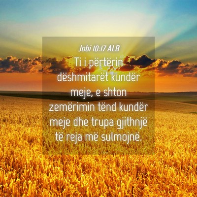 Picture 04 - Jobi 10:17 ALB - Ti i përtërin dëshmitarët kundër meje, e - Bible Verse Picture