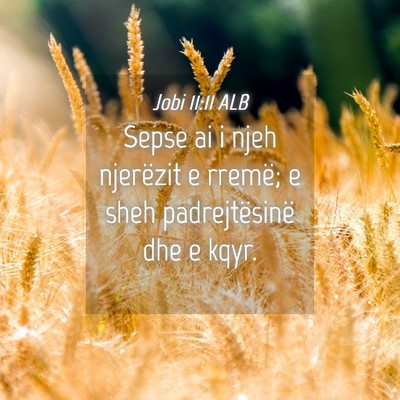 Picture 04 - Jobi 11:11 ALB - Sepse ai i njeh njerëzit e rremë; e sheh - Bible Verse Picture