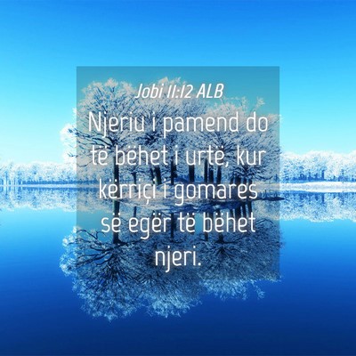 Picture 04 - Jobi 11:12 ALB - Njeriu i pamend do të bëhet i urtë, kur - Bible Verse Picture