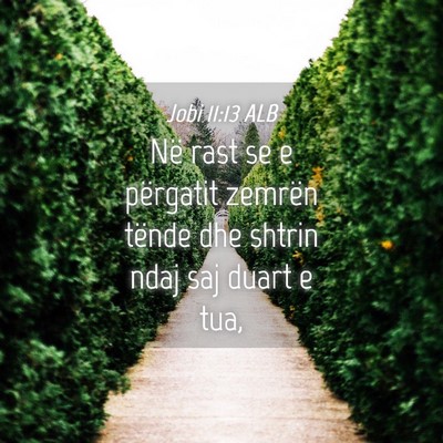 Picture 04 - Jobi 11:13 ALB - Në rast se e përgatit zemrën tënde dhe shtrin - Bible Verse Picture