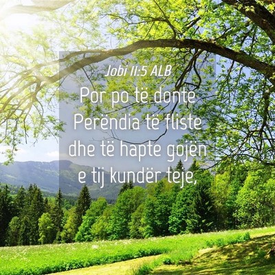 Picture 04 - Jobi 11:5 ALB - Por po të donte Perëndia të fliste dhe të - Bible Verse Picture