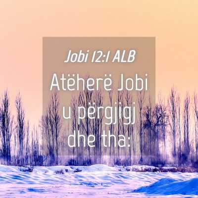 Picture 04 - Jobi 12:1 ALB - Atëherë Jobi u përgjigj dhe - Bible Verse Picture