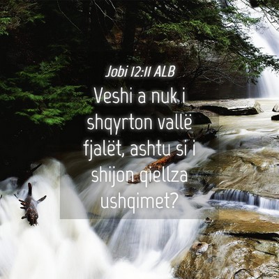 Picture 04 - Jobi 12:11 ALB - Veshi a nuk i shqyrton vallë fjalët, ashtu si i - Bible Verse Picture