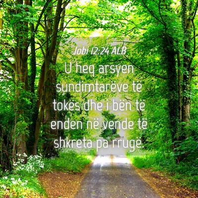Picture 04 - Jobi 12:24 ALB - U heq arsyen sundimtarëve të tokës dhe i bën - Bible Verse Picture