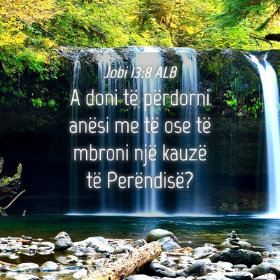 Picture 04 - Jobi 13:8 ALB - A doni të përdorni anësi me të ose të mbroni - Bible Verse Picture