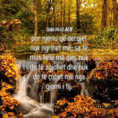 Picture 04 - Jobi 14:12 ALB - por njeriu që dergjet nuk ngrihet më; sa të - Bible Verse Picture