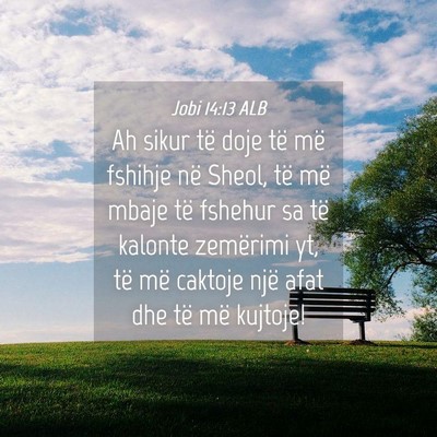 Picture 04 - Jobi 14:13 ALB - Ah sikur të doje të më fshihje në Sheol, të - Bible Verse Picture
