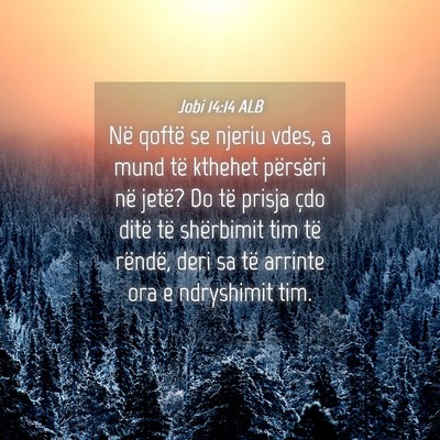 Picture 04 - Jobi 14:14 ALB - Në qoftë se njeriu vdes, a mund të kthehet - Bible Verse Picture